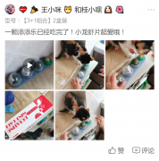 客戶見證